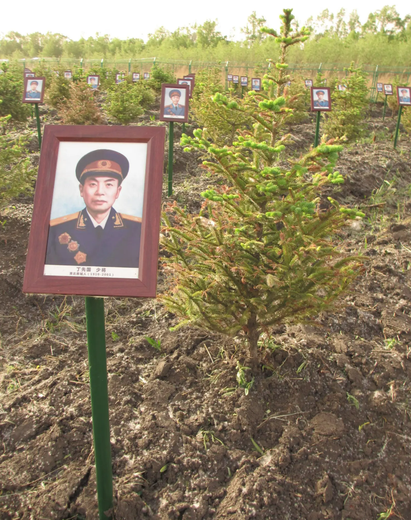 开国少将丁先国:62岁被免职,晚年捡垃圾的原因让人落泪