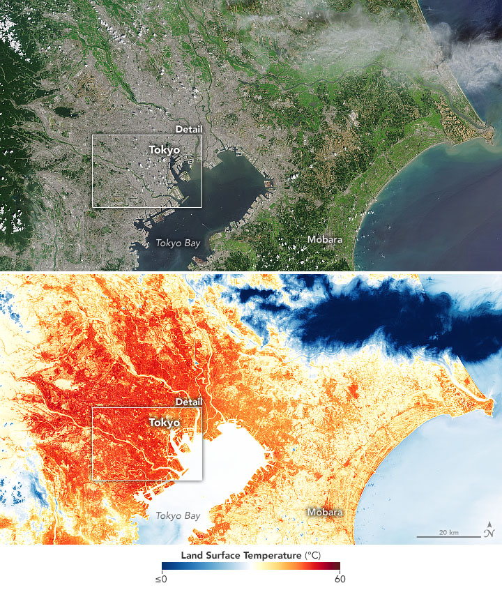 东京卫星地图和气温分布图