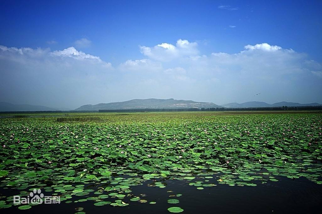 济宁市微山县是山东的"南大门",拥有多个国家级旅游景区