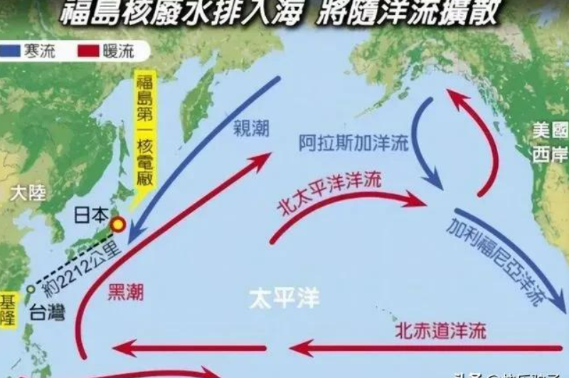 日本排放核廢水你我的海鮮還可以吃嗎?