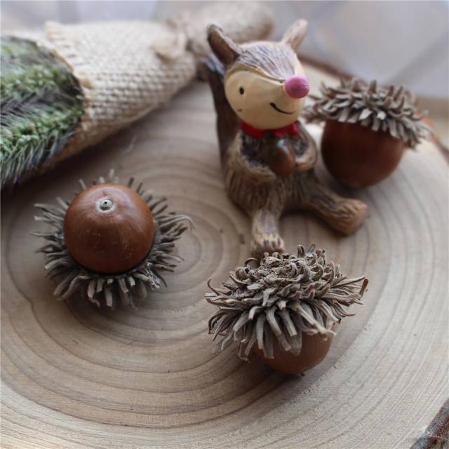 橡果的待开发作用还有很多,期待之后能看到它在各领域的活跃!