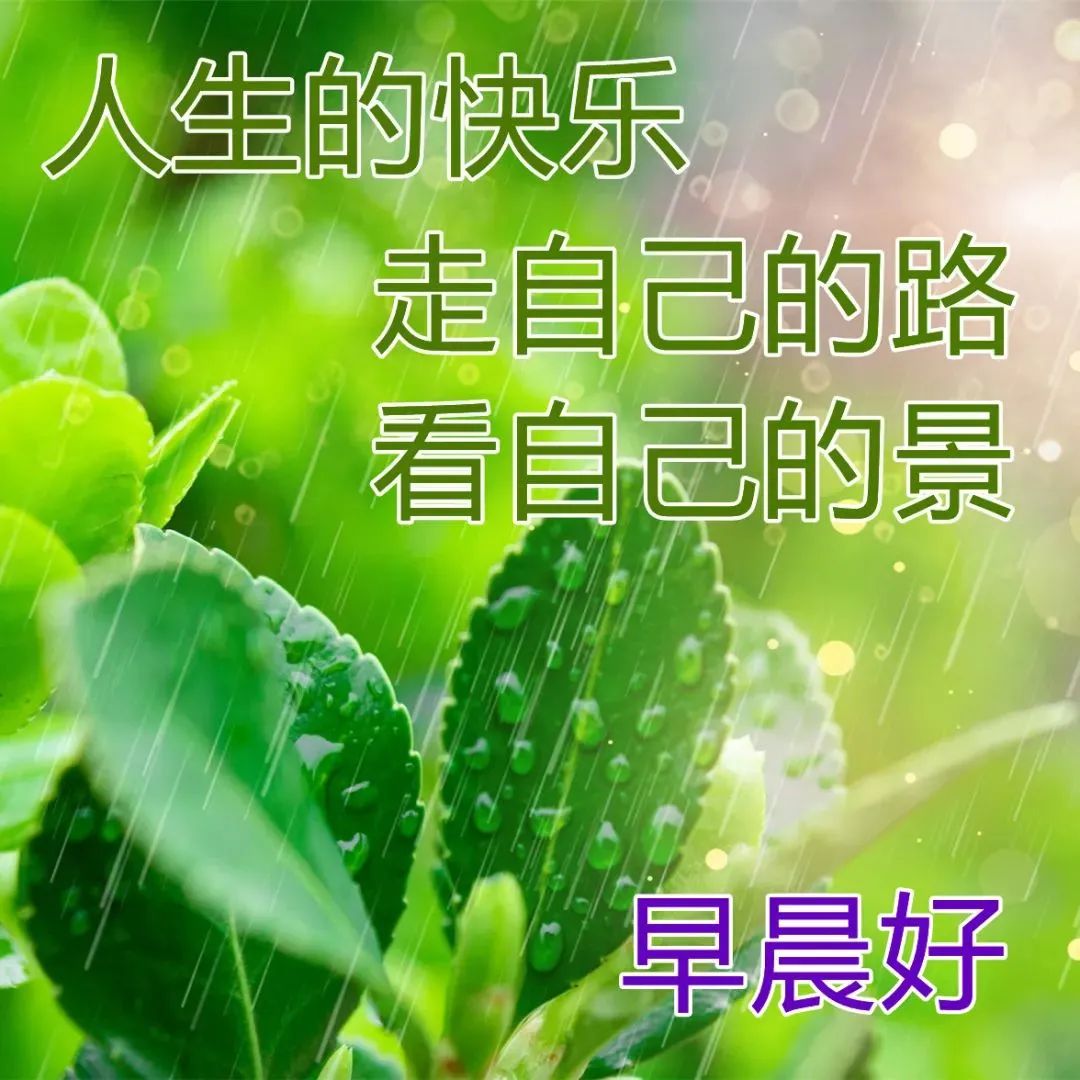 三月份最漂亮的早上好问候动态图片,最新最美早安问候语