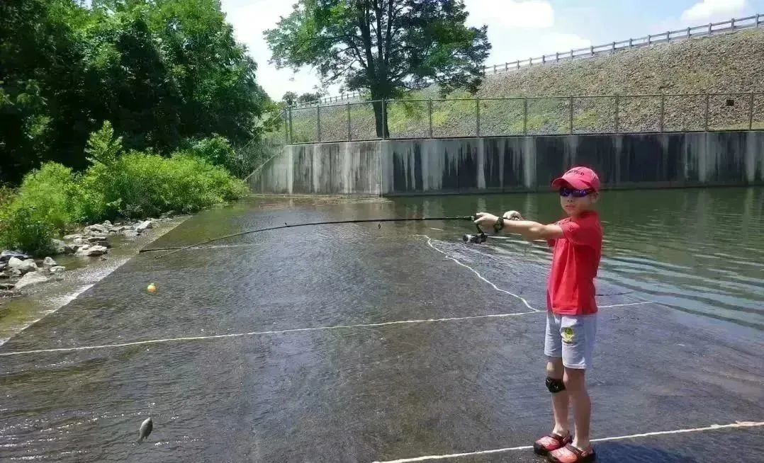 全人教育|上海包玉刚ib毕业生回顾在校学习氛围,学术提升等方法