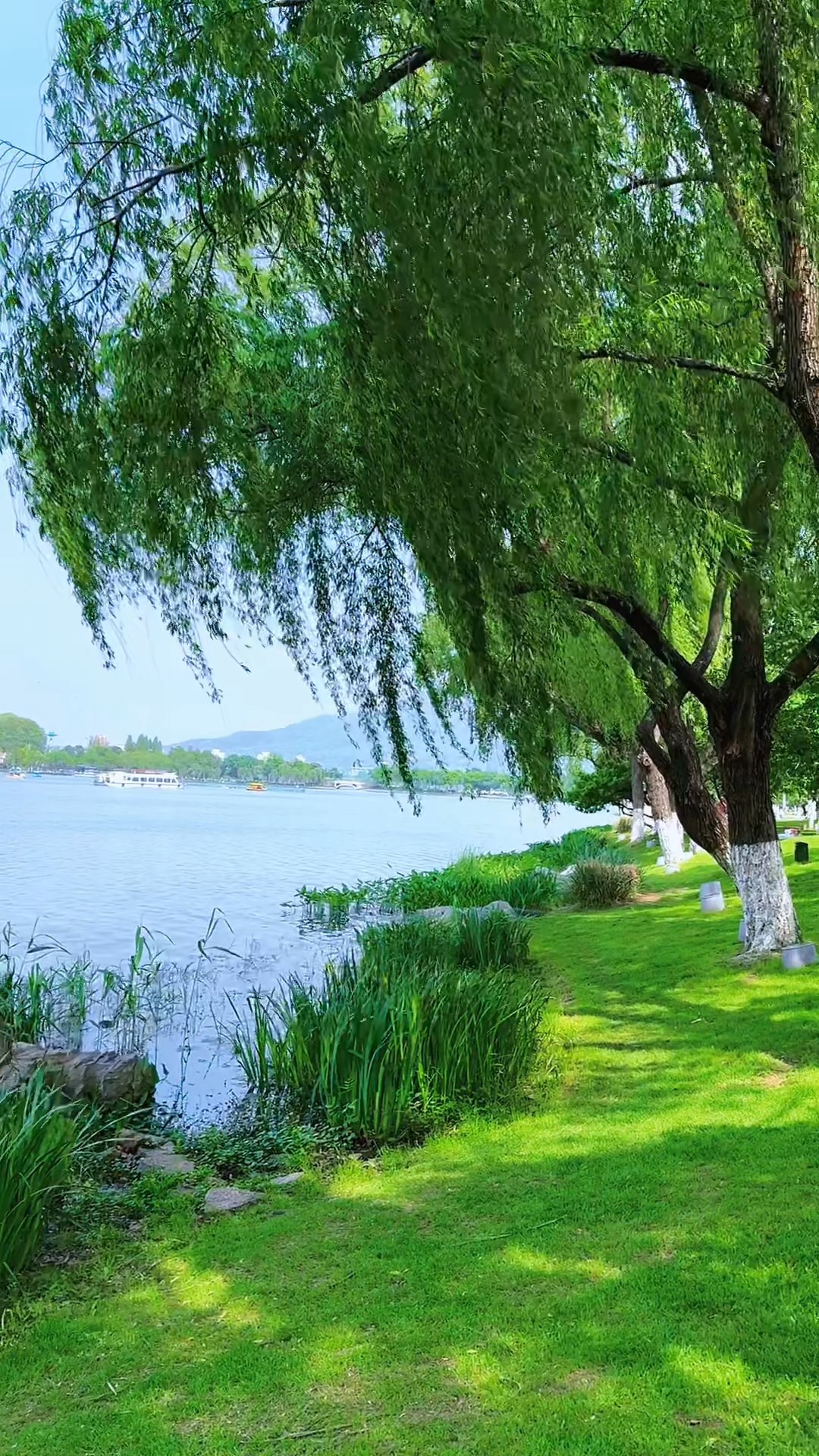 真后悔没有好好学习语文,面对如此美景,却作不出一首诗来