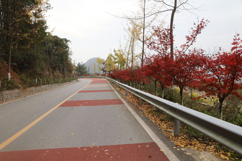 巫山建成农村四好公路成为景观路