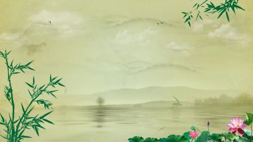 《东宫美人萧礼岑漪澜》全文满分在线&新上小说