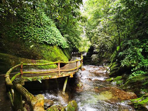 贵州景点:亚木沟风景区