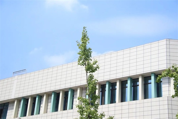 快收藏!成都市龙泉驿区东山国际小学校园风景大片火热出炉