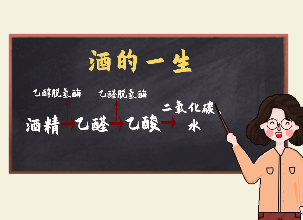 "透一透"是什么意思?传说中的"回魂酒"真能醒酒吗?