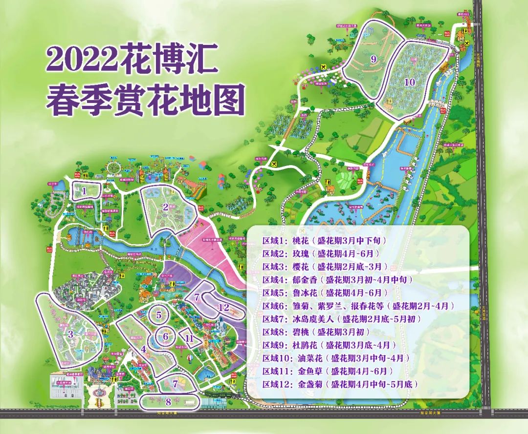 一夜之间武汉花都开好了