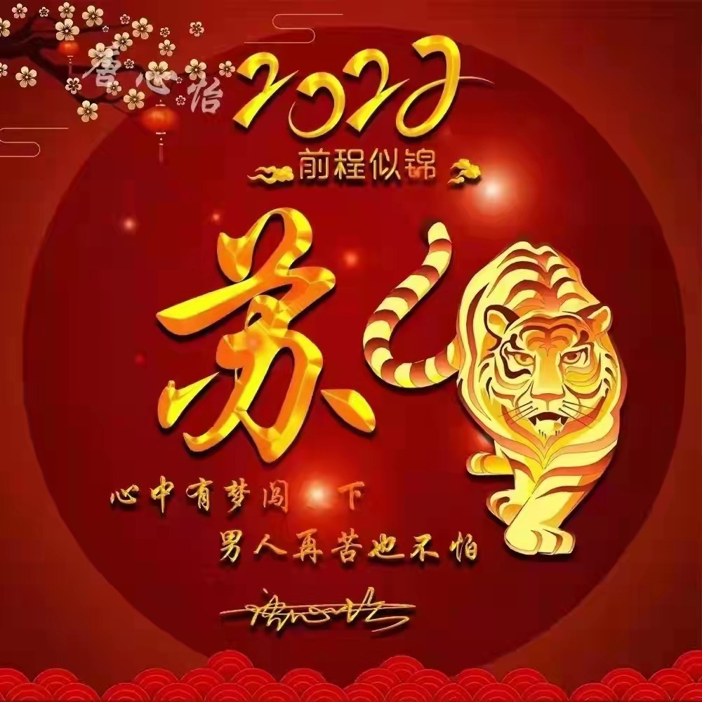 2022新年姓氏微信头像,3d霸气虎大气个性签名头像,有你的吗?