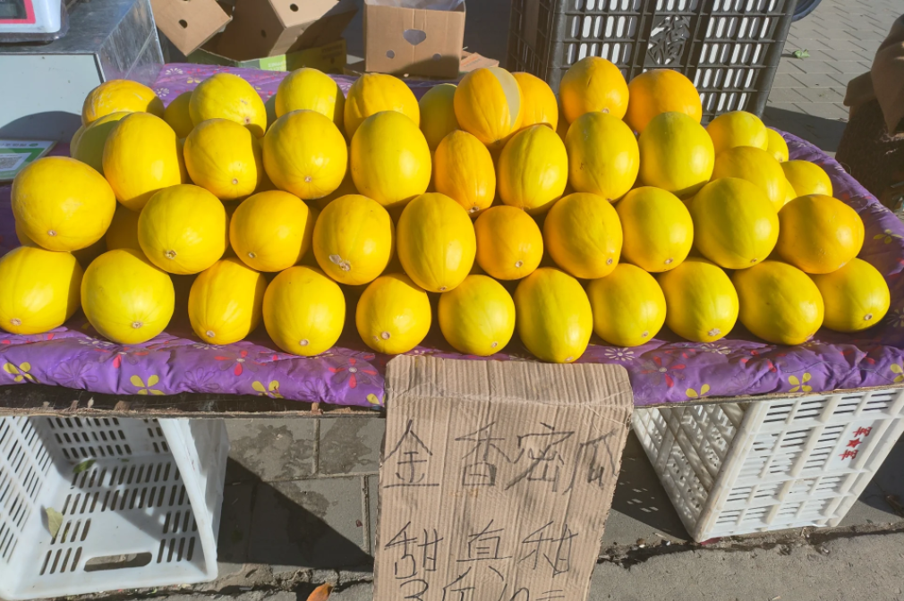 武清梅厂镇大集·一定要来看看