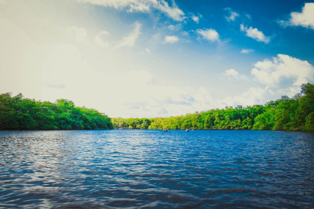 假日没地方玩?淄博最美湖景,家人休闲好去处