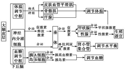 高考生物:高中生物知识点总结——体液调节!