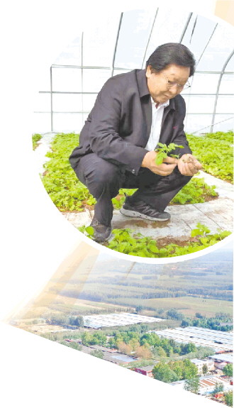 梁希森:迎着"薯"光追梦