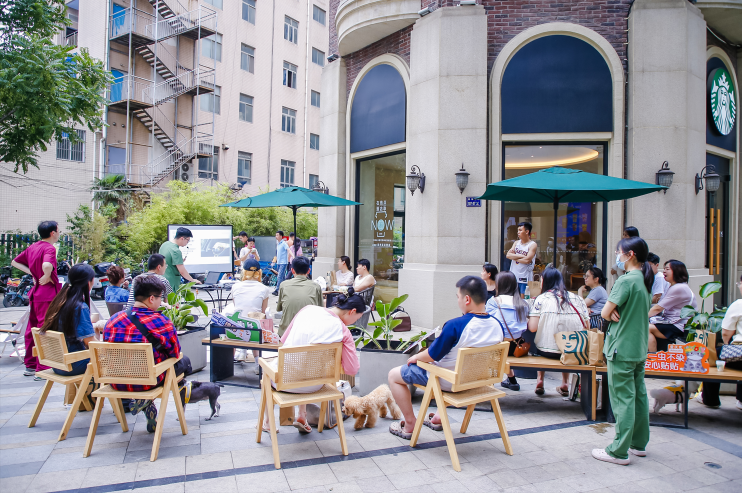 新瑞鹏旗下宠颐生夏日养宠课堂"清凉"来袭