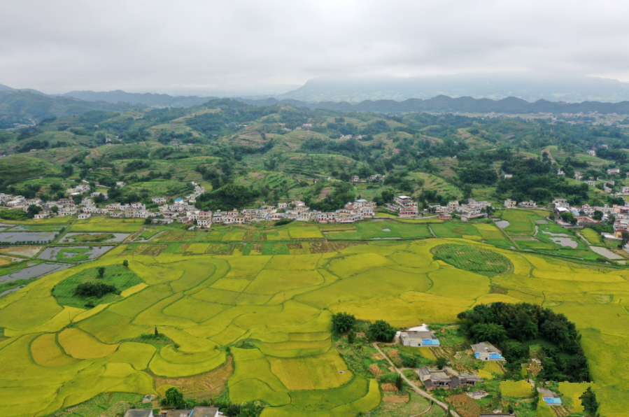 四川巴中市兴文镇图片