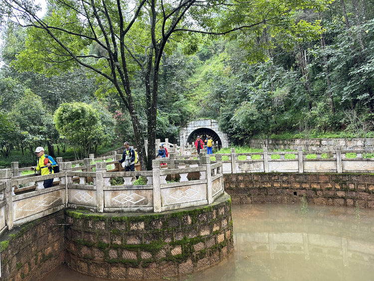 走昆明盘江之源青龙潭,转山越岭,在山野里识菌,捡菌,乐趣多多