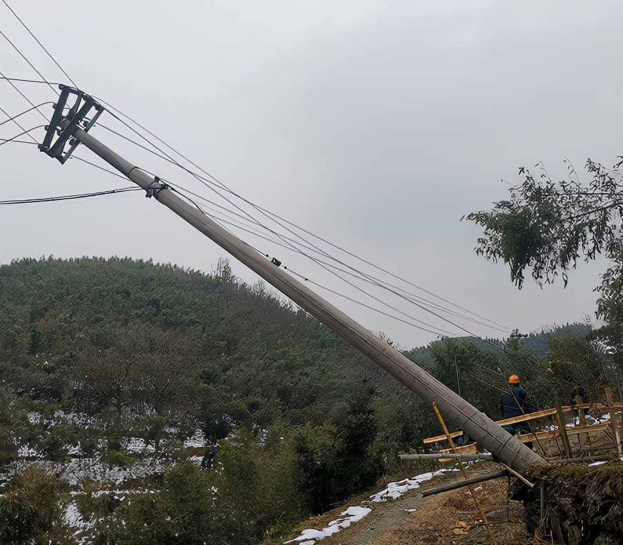 杭州临安:一根10米长的电杆断裂倒在田埂间,一户都不能少!