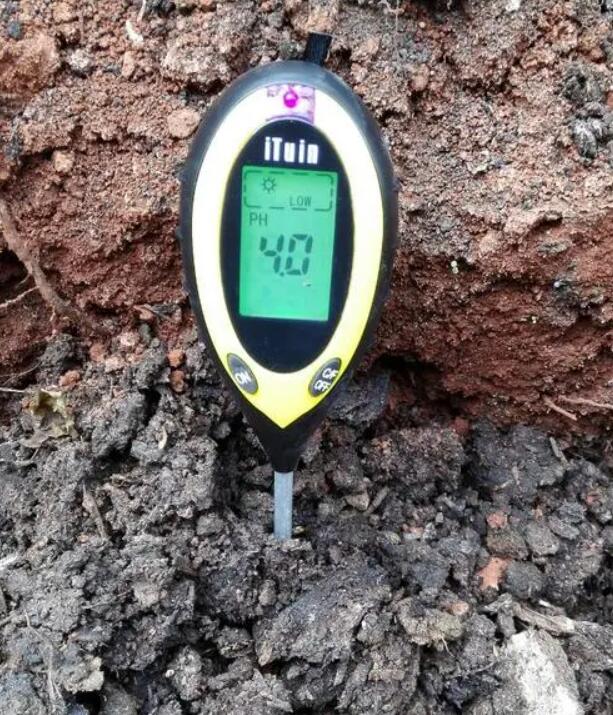 其实不然,对于土壤而言,本身有酸性土壤或碱性土壤的.