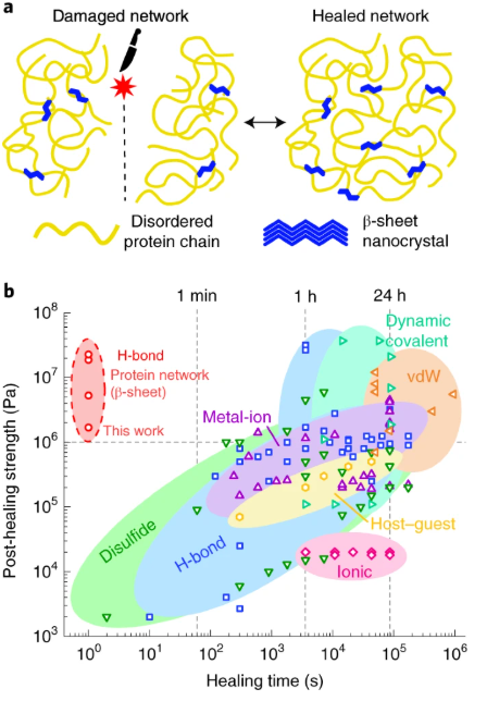 德國馬普所《nature materials》1秒內自愈機械損傷多肽材料