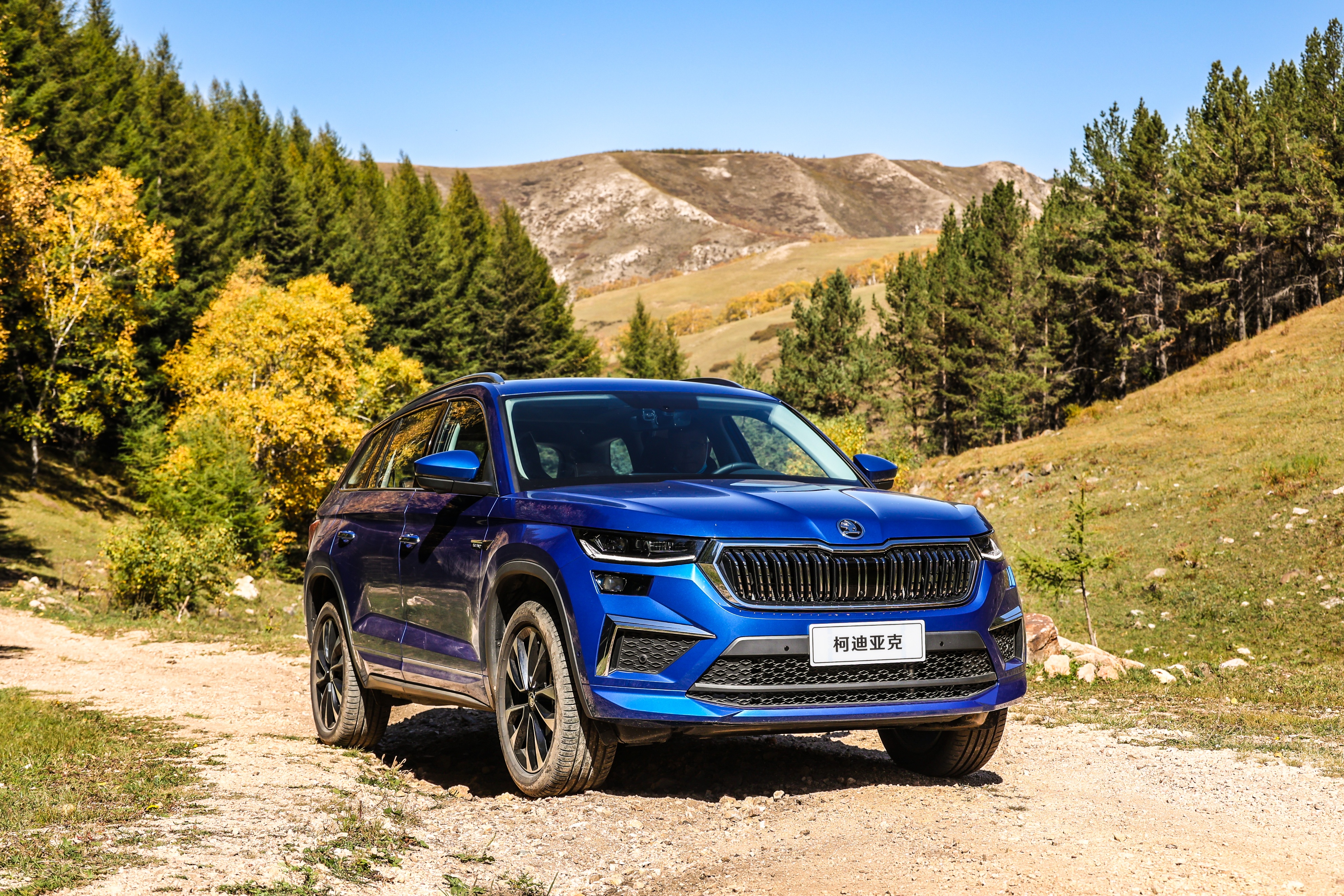 我和斯柯达同病相怜,但柯迪亚克却无意间"治愈"了我