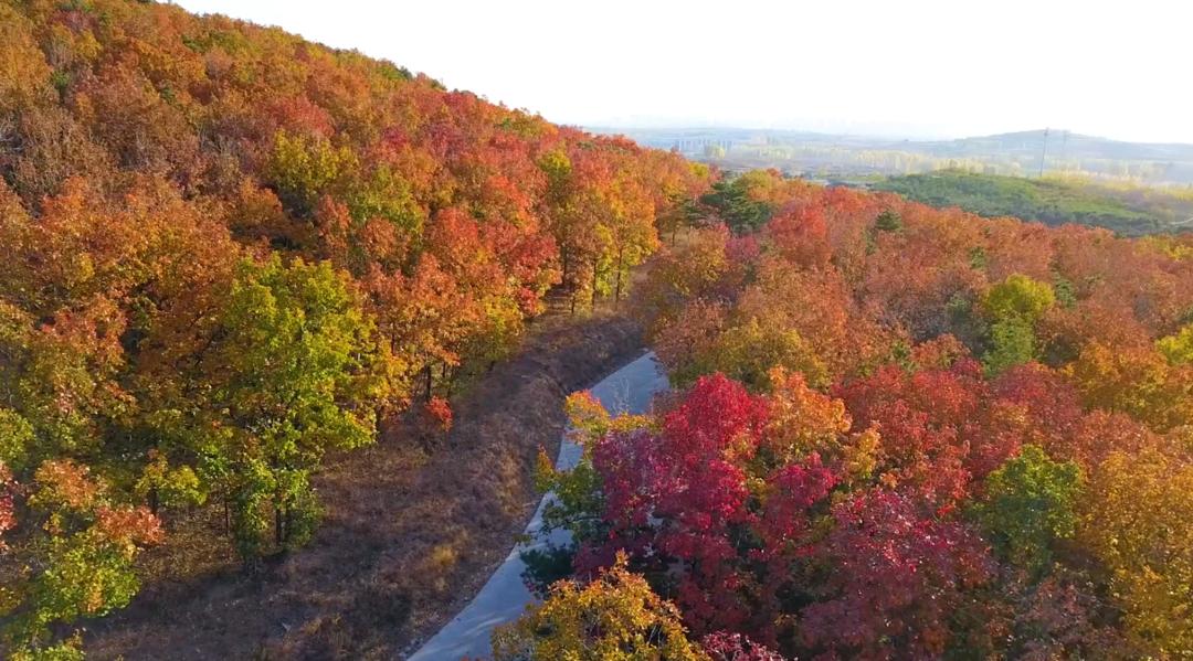 秦皇岛圆明山图片