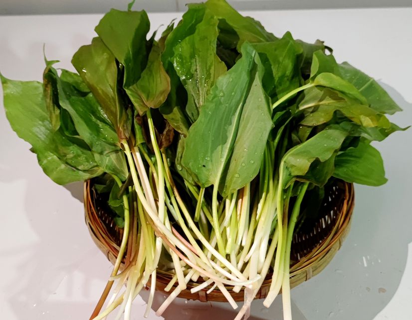 带你看北川|羌山美食系列:青片山野十八珍羊汤锅