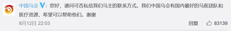 热点|马主人回应下海救人两匹马去世：有点可惜，但不后悔救人