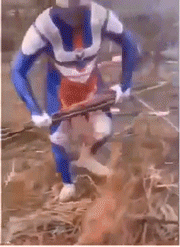 天气越来越寒冷 各位爱卿看到野生奥特曼的话 记得给他们一丝温暖