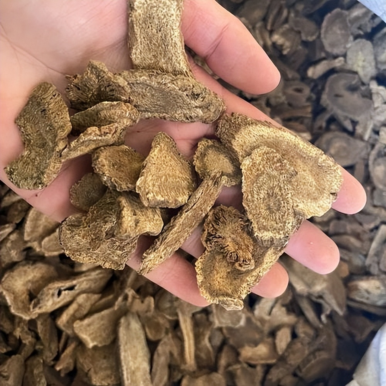 胆囊炎——民间土方,疏肝利胆,清热化湿  【组成】  柴胡,制半夏,黄芩