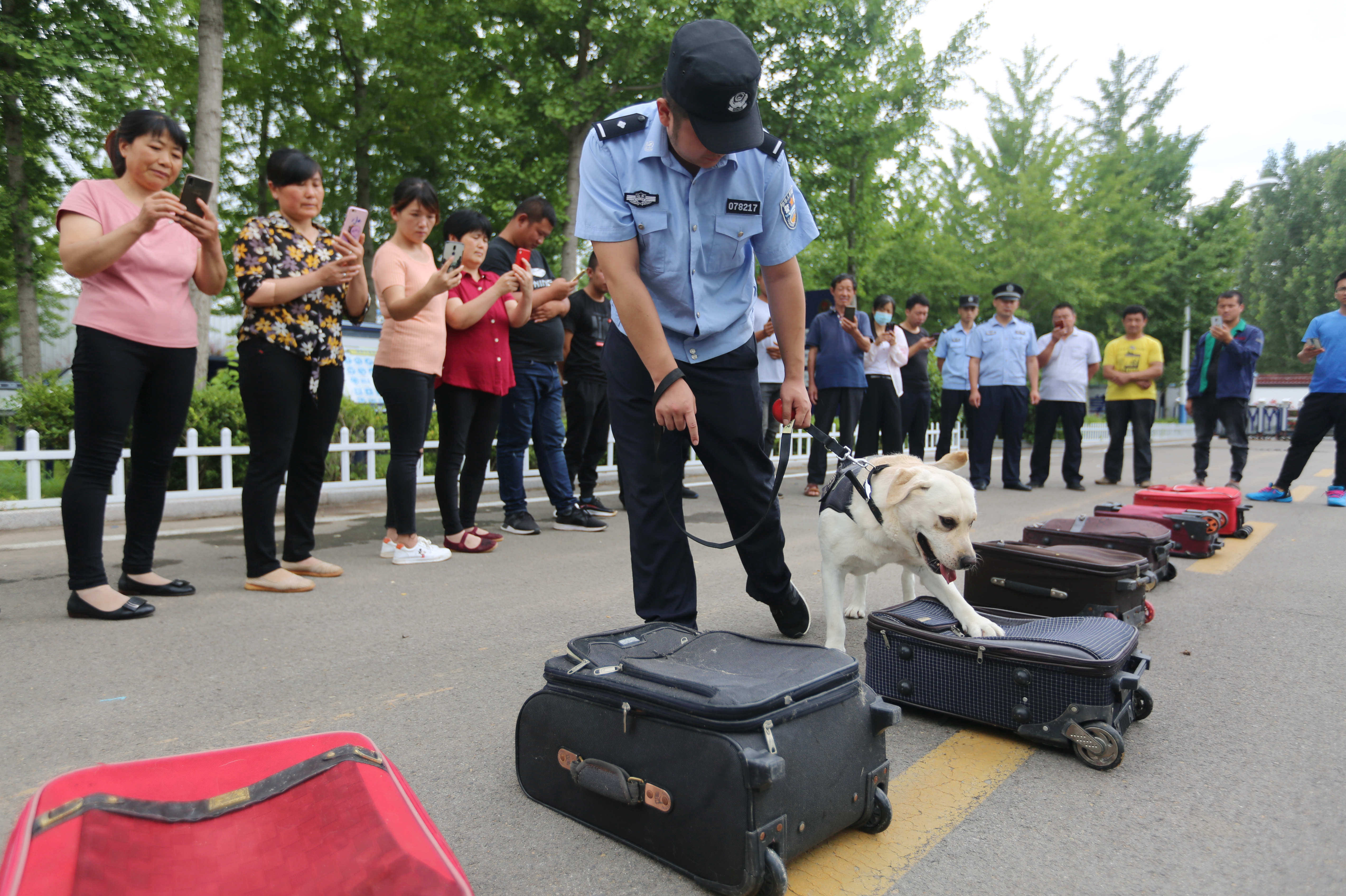 山东沂南:缉毒犬亮身手