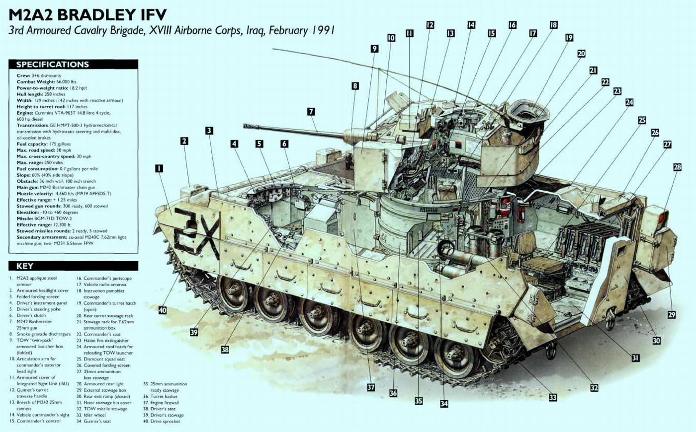 装甲车,装甲运兵车与步兵战车的横截面