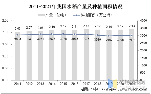 籼型杂交水稻产量图片