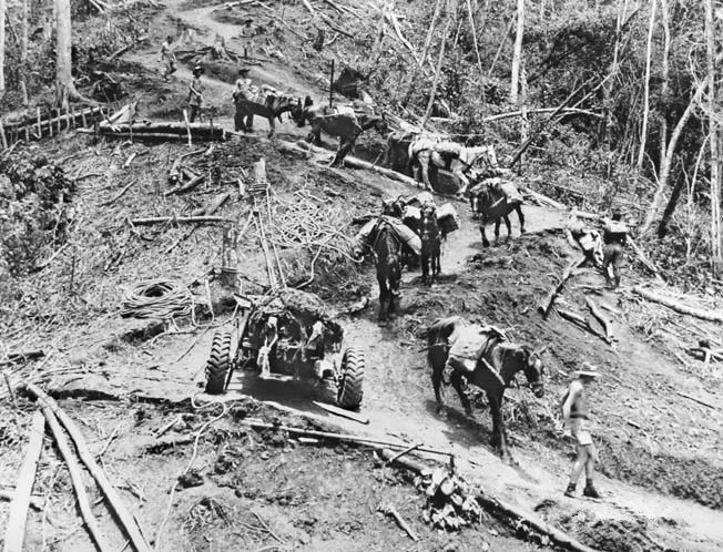 科科达小径战役,二战最残酷的丛林战,扭转太平洋战争的局势