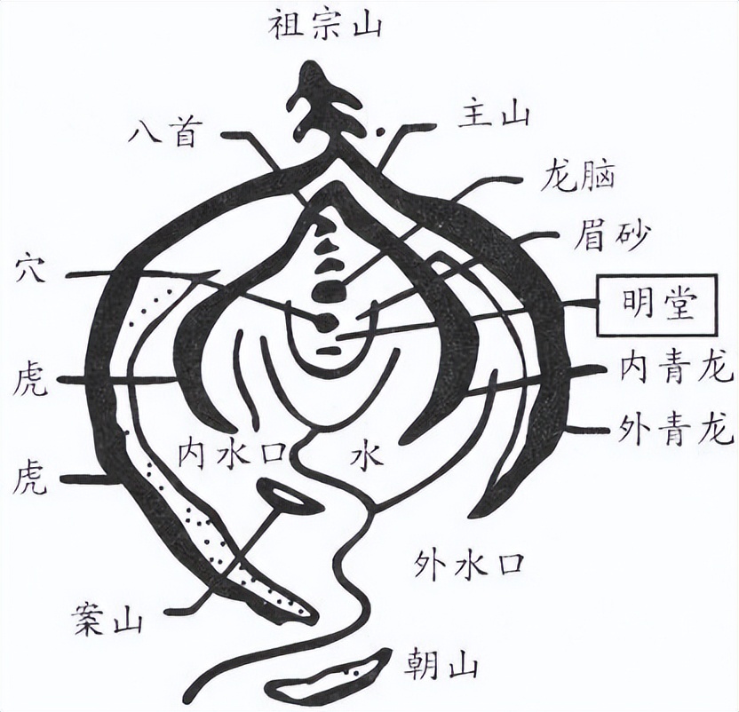 左青龙右白虎,前朱雀后玄武!风水宝地长这样!「读书笔记」2.17