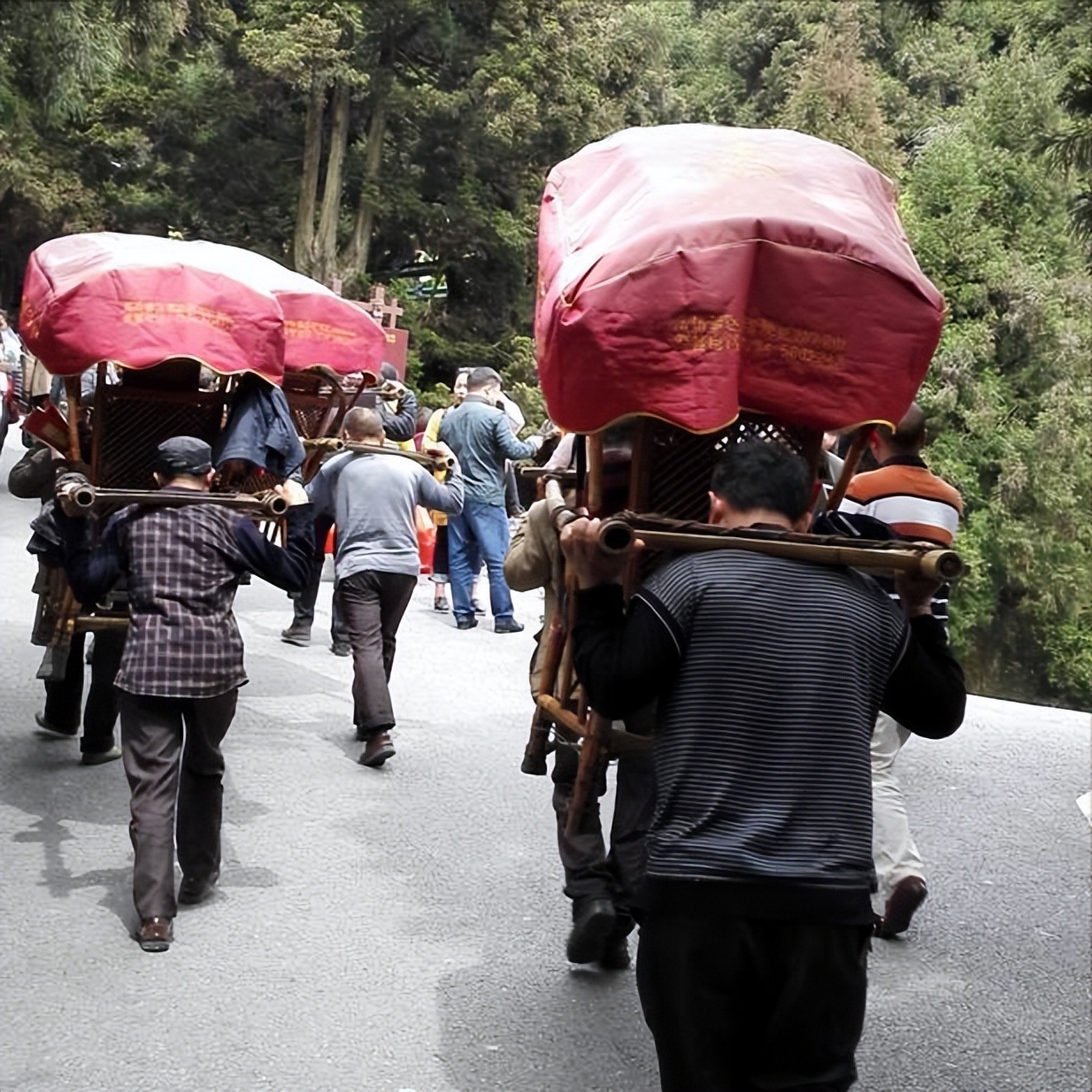 主人雇轿夫抬累瘫的哈士奇上山 网友:这只狗已经到达了人生巅峰