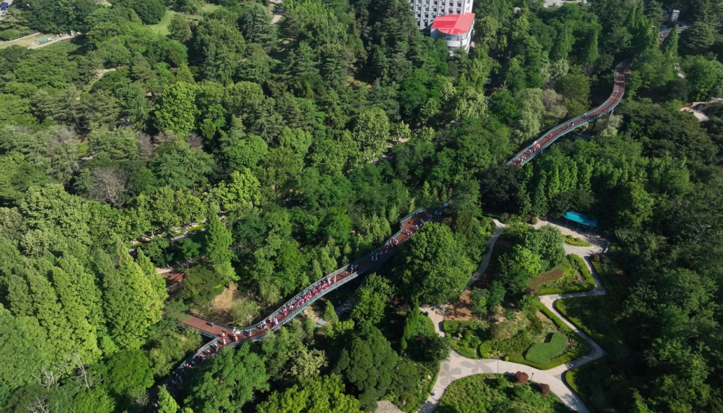 绿动青岛·太平山打卡健步行活力开启,探寻公园城市美好