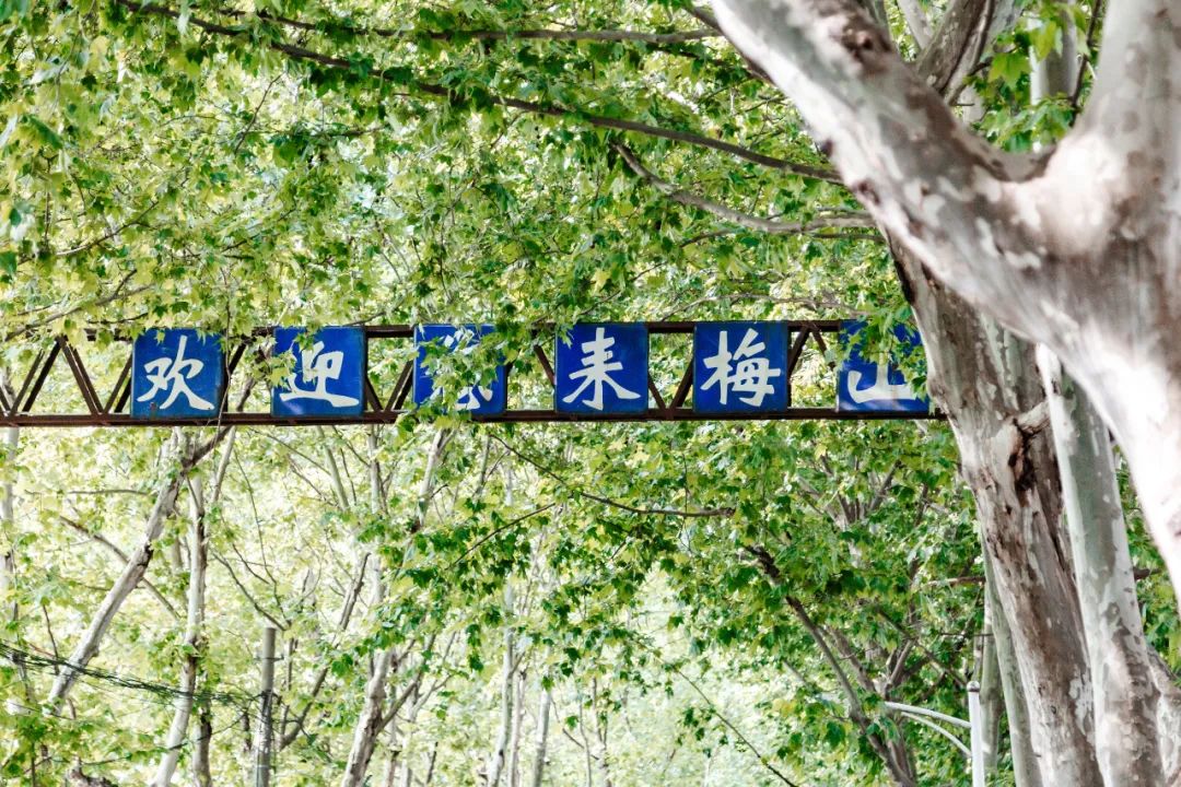 梅山,当"上海"渐成往事