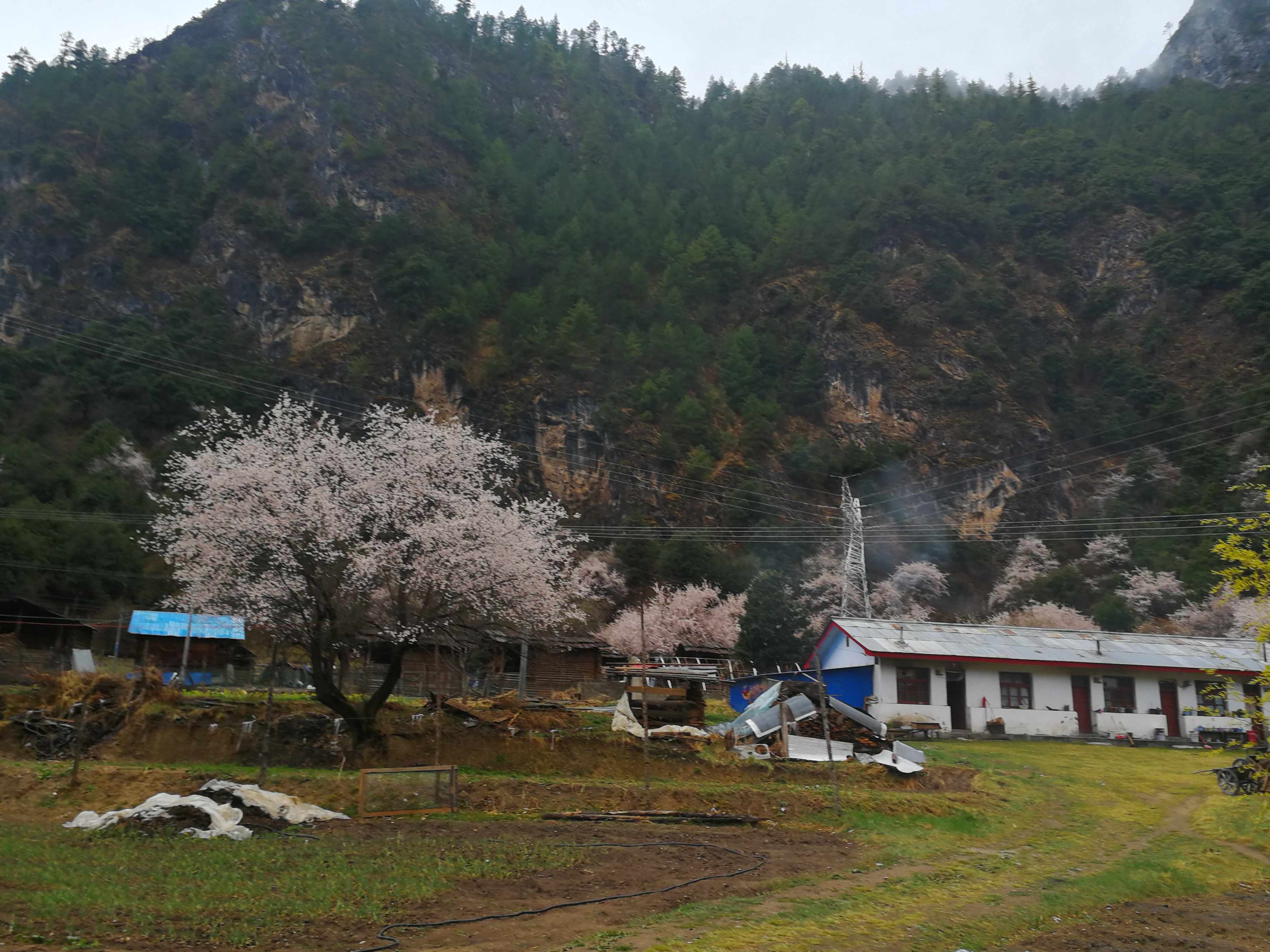 探访察隅县沙玛村,感受"麦线"前沿边民生活(1)