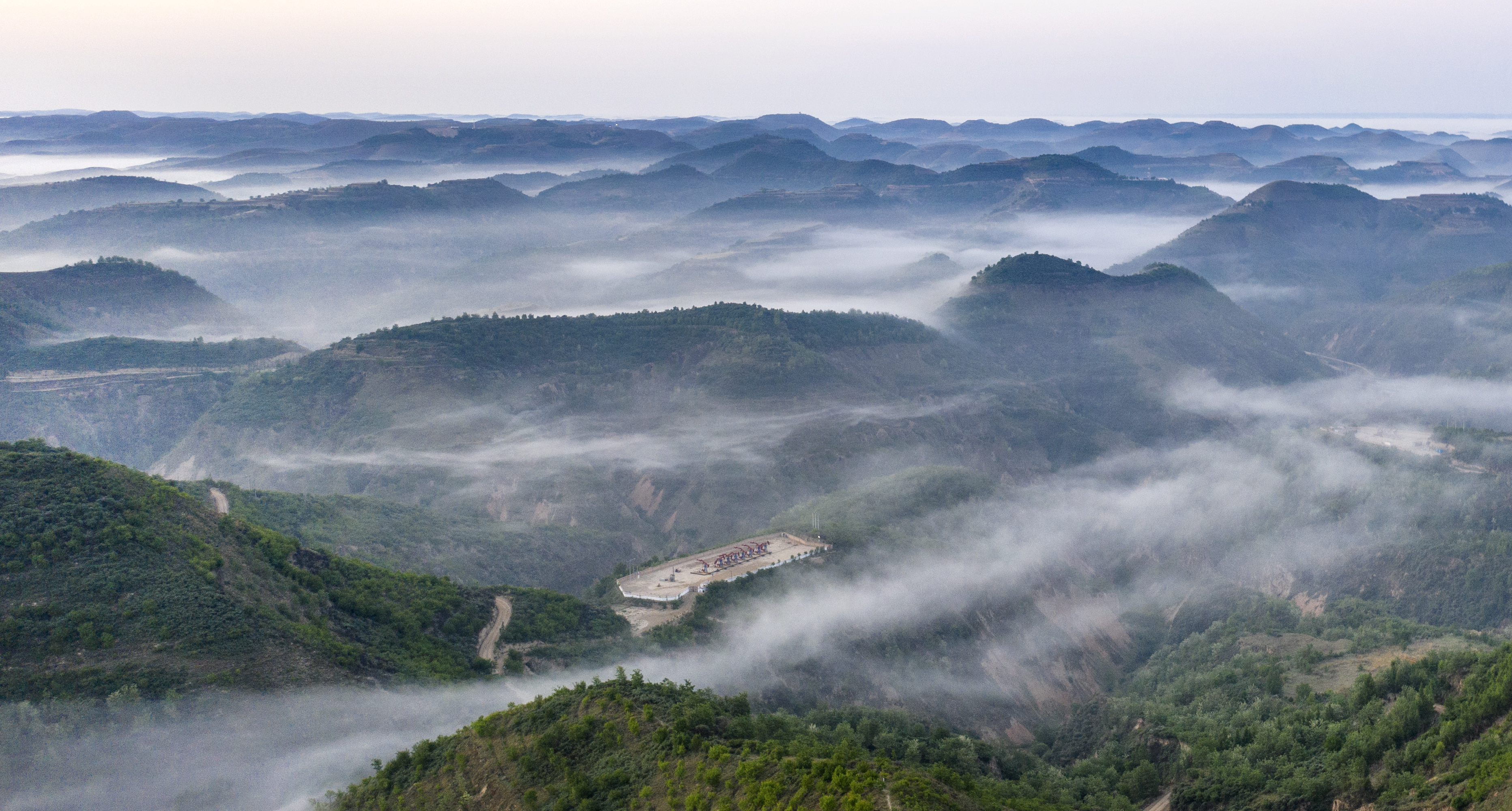 延安:创造黄土高原生态修复奇迹(6)