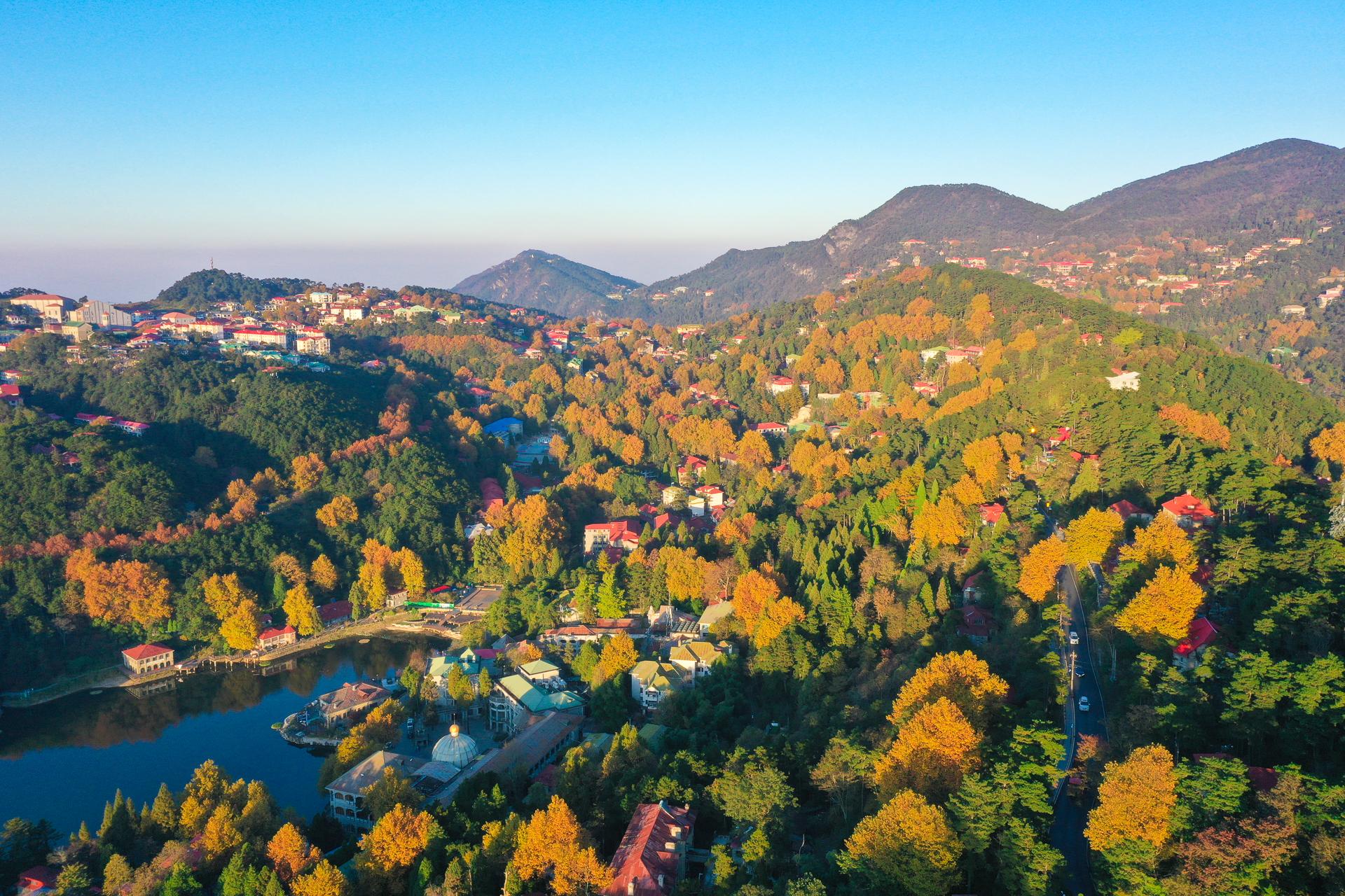 秋天的庐山,漫山遍野层林尽染,来庐山奔赴一场秋天的浪漫