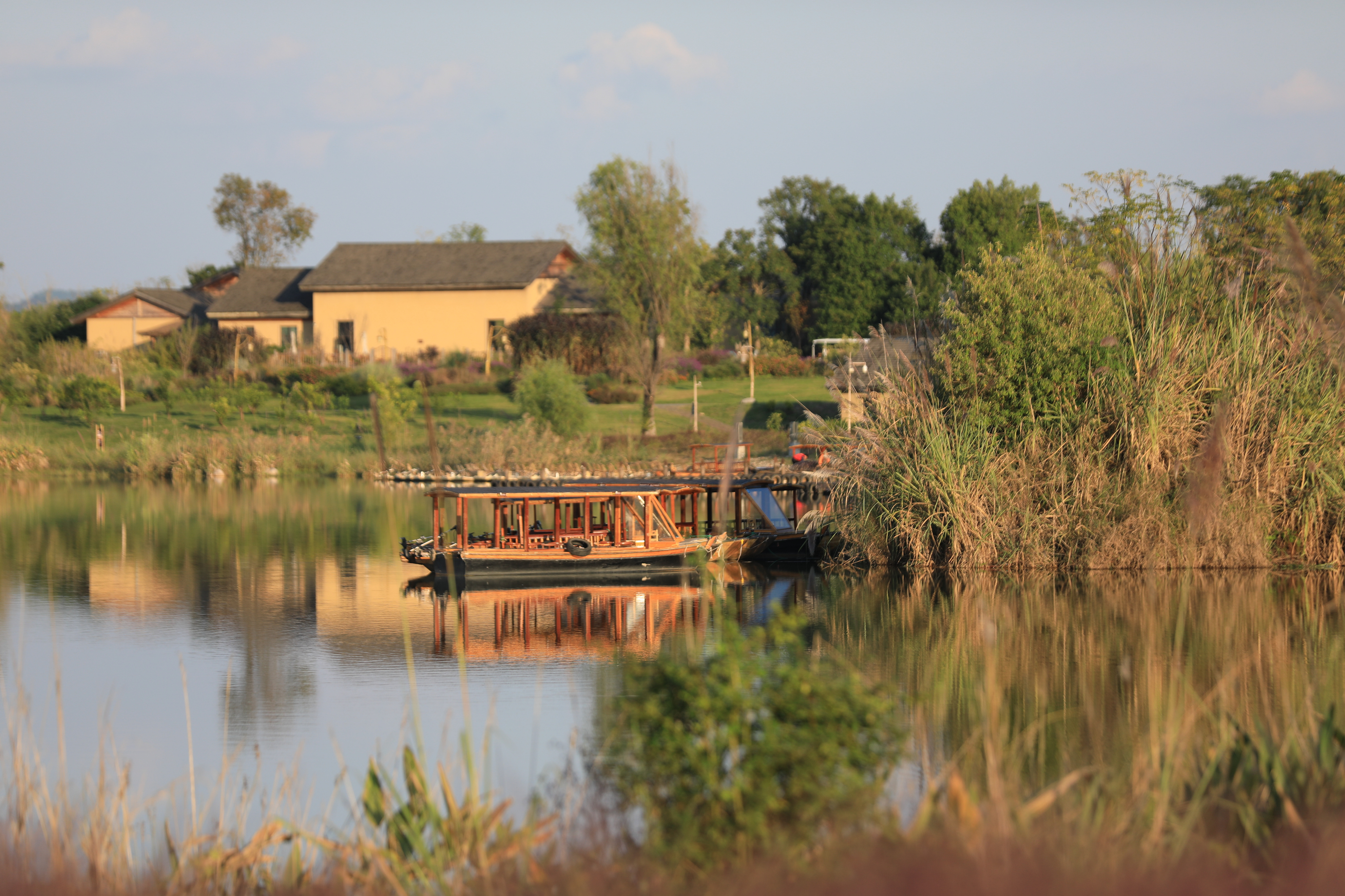 四川南充凤仪湾出彩粉黛节,粉色海洋的浪漫限定,你打卡了吗?
