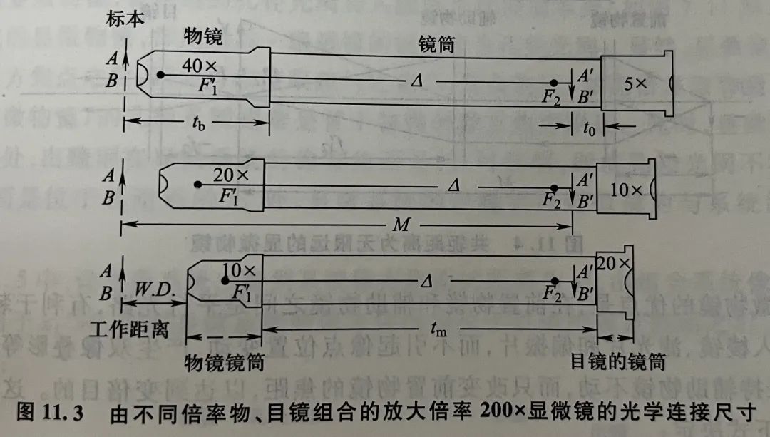 显微镜物镜目镜长短图片