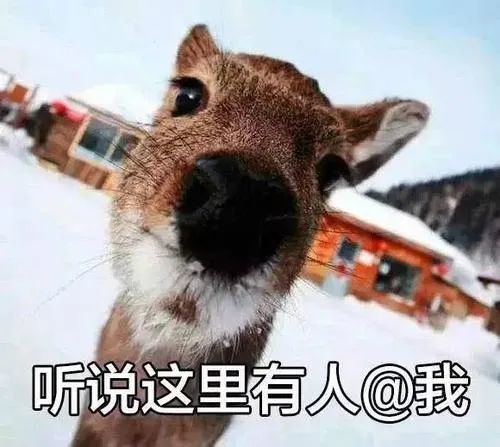 人大代表的"小鹿帽"萌翻全网,其实不简单