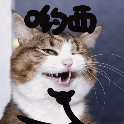 480_480gif 动态图 动图