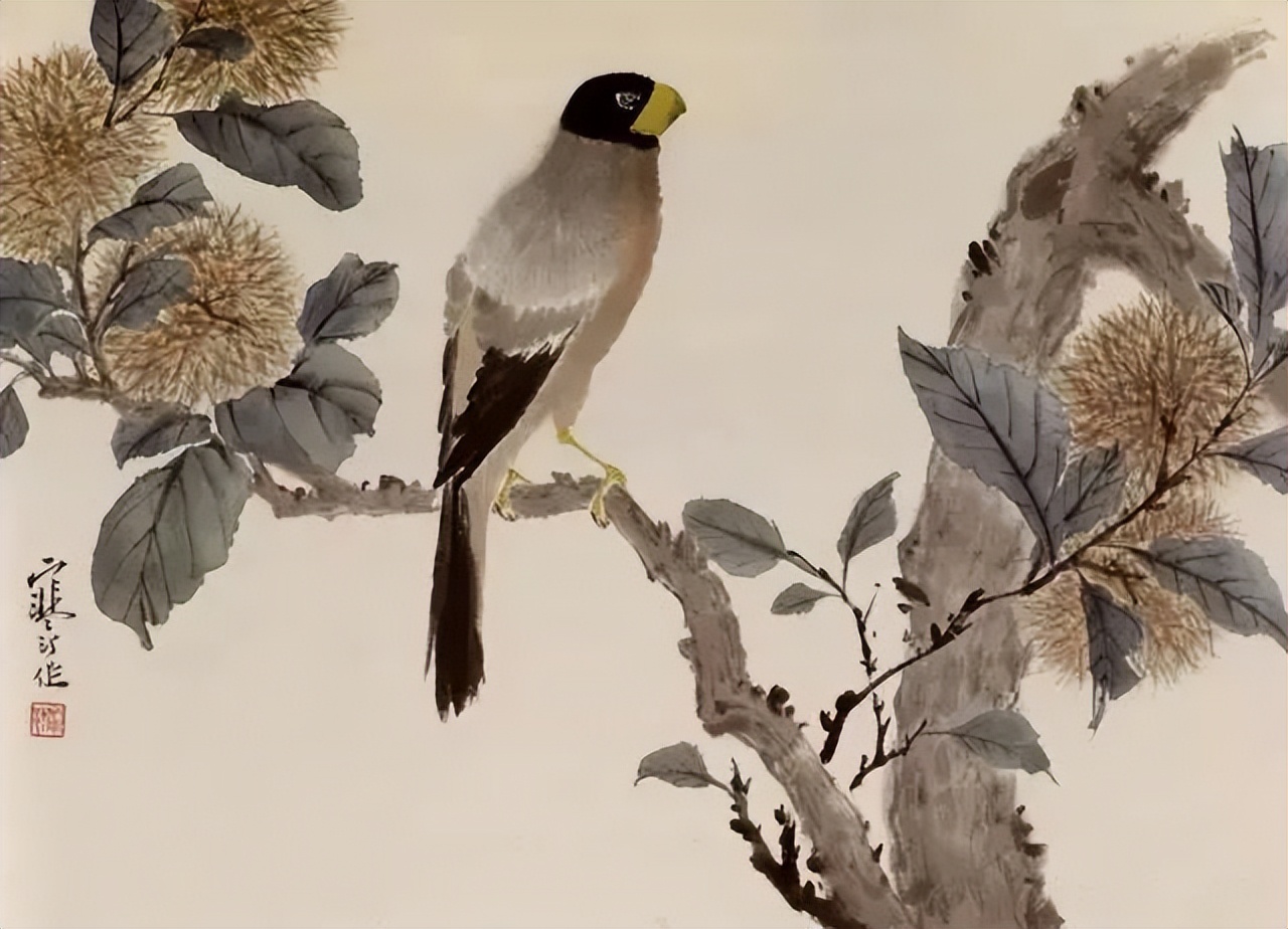 100幅小写意花鸟画︱江寒汀作品