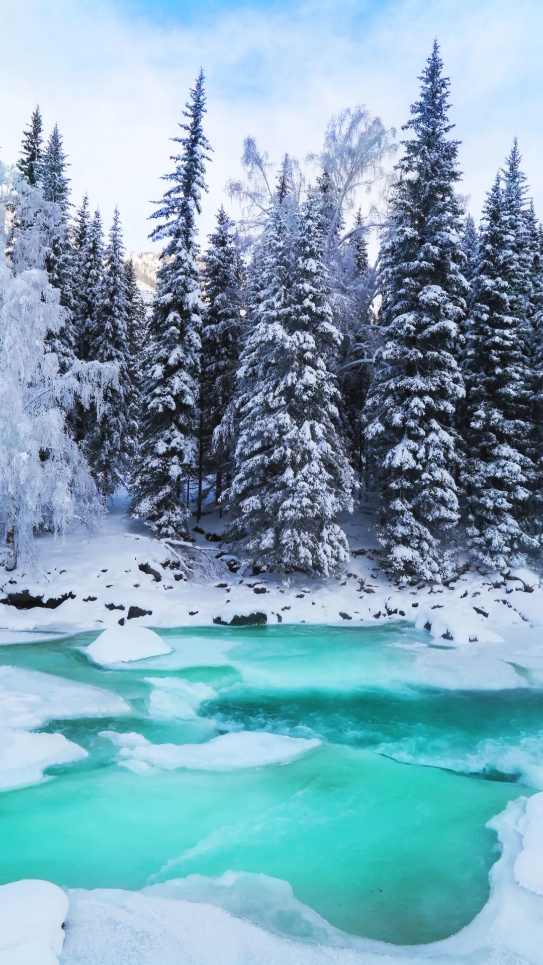 新疆昌吉雪景图片图片