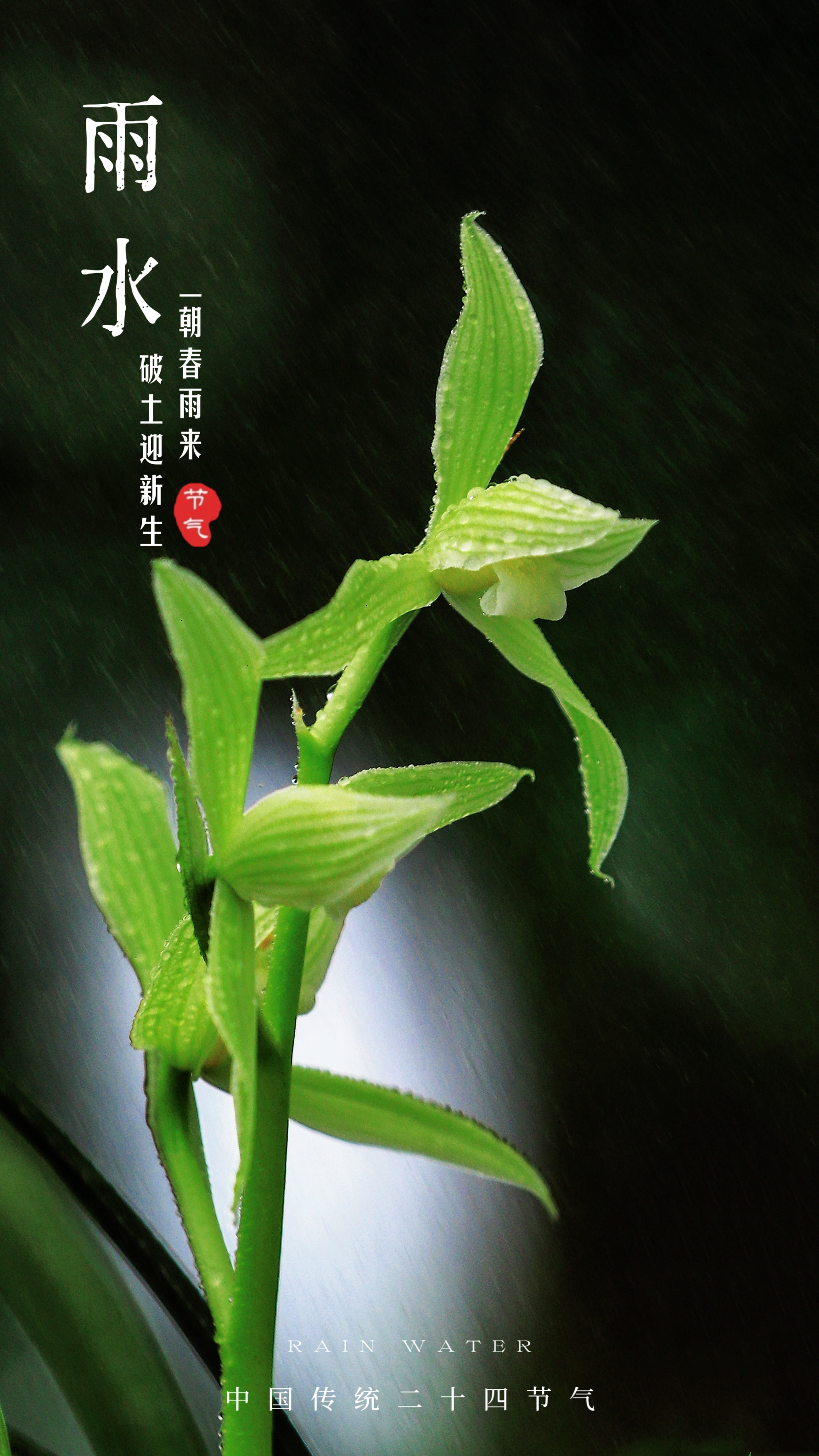 「节气中的古蔺」雨水