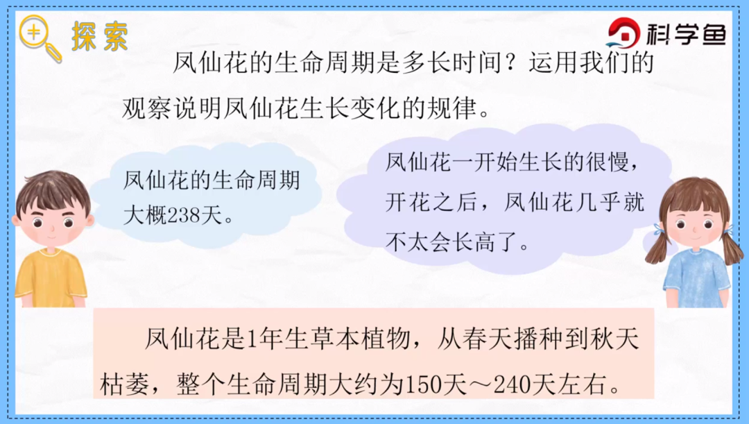 凤仙花传播种子的方法（凤仙花种子萌发时根总是怎么生长） 第14张